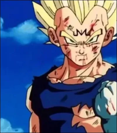 Qui le manipule dans la saga Buu ?