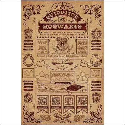 À qui devons-nous l'origine des règles du Quidditch ?