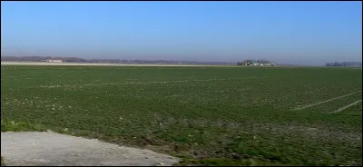 Lagune ass&eacute;ch&eacute;e et cultiv&eacute;e :