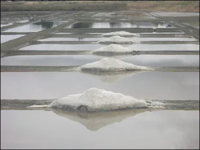 Tas de sel extrait d'un marais salant :