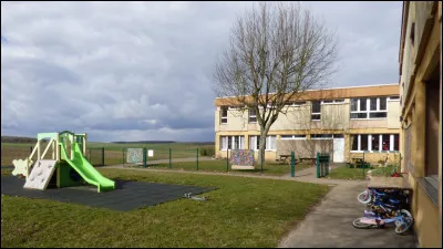 Que signifie le sigle MECS ?