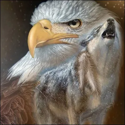 Quel animal pr&eacute;f&egrave;res-tu ?