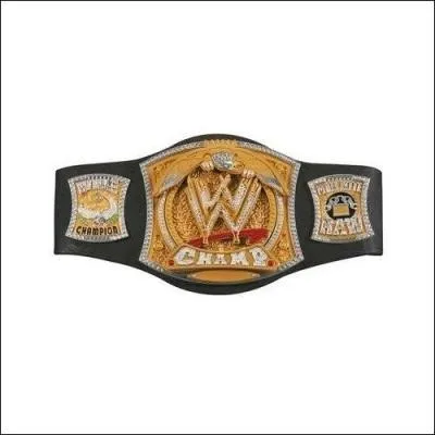 Combient de ceintures y a-t-il  la Wwe ?