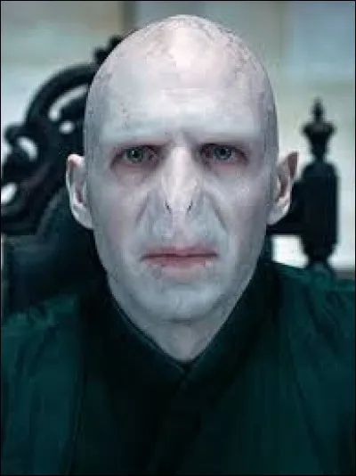Dans quelle maison était Lord Voldemort ?