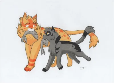 Quel est son grade ?