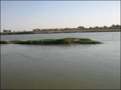 Quel est ce fleuve d'Afrique, long de 1 200 km, qui coule en République centrafricaine, au Tchad et au Cameroun et se jette dans le lac Tchad ?