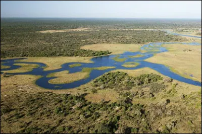 Quel est ce fleuve africain dont le cours de 1 600 km s'achève par un vaste delta dans le désert du Kalahari, au Botswana ?