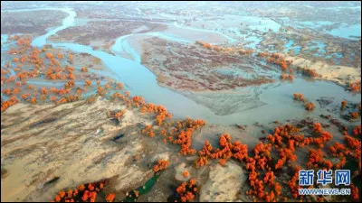 Ce fleuve d'Asie, long de 2 000 km, après avoir traversé le désert du Taklamakan, aboutissait dans les marécages salés du Lob Nor, maintenant asséchés. Ses eaux parviennent désormais épisodiquement jusqu'au lac Taitema. De quel fleuve s'agit-il ?