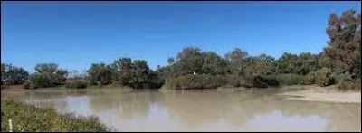 La Cooper Creek est une rivière endoréique, longue de 1 300 km, qui rejoint le lac Eyre. Dans quel pays coule-t-elle ?