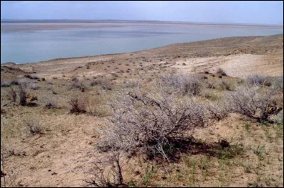 Quel est ce fleuve d'Asie centrale, long de 2 500 km, qui naît dans les montagnes du Pamir, traverse l'Hindou Kouch puis le désert du Karakoum avant de se rejoindre la mer d'Aral ?