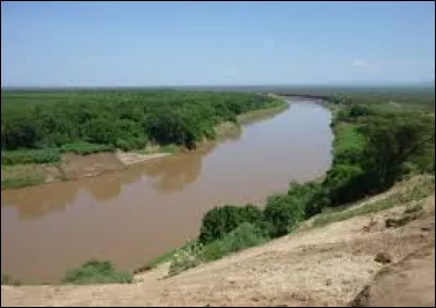 L'Omo, rivière africaine longue de 760 km, traverse une région de hauts plateaux, puis de marais et de savane et se jette dans le lac Turkana par un delta. Dans quel pays coule l'Omo ?