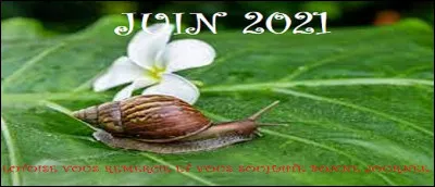 Format QCM. 
"OK, d'accord", répondez-vous à ma question pour bien faire comprendre votre assentiment !
Redondance ou pas ?