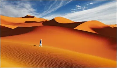 Où préférerais-tu habiter ?