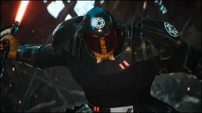 La Neuvième Sœur a perdu sa main contre Cal Kestis mais elle avait déjà perdu un membre dans le passé, lequel ?