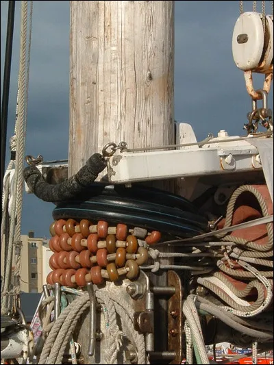 ...comme "Mâchoire de corne" > Qu'est-ce ?