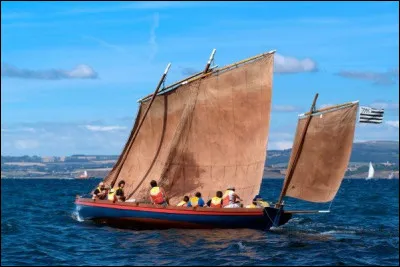 Où se trouve le "mât de tapecul" ?