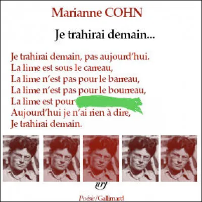 Marianne Cohn était-elle résistante avant d'être poète ? Un mot nous manque...