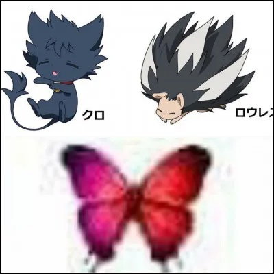 Quel animal préfères-tu ?