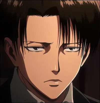 Si tu étais Erwin, comment nommerais-tu Livaï ?