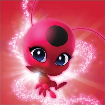 Quel est le nom du kwami de Ladybug ?