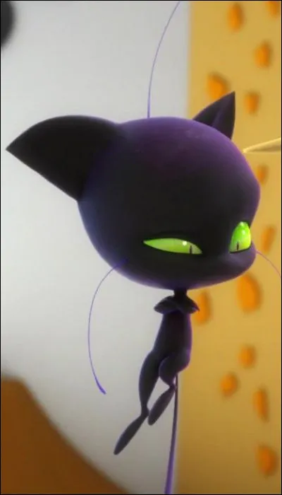 Quel est l'aliment préféré de Plagg ?