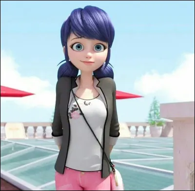 De qui Marinette est-elle amoureuse ?