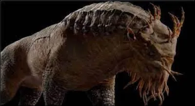 Dans quel lieu le Grapcorne habite-t-il ?