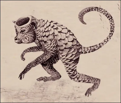 Comment peut-on se débarrasser d'un Kappa ?