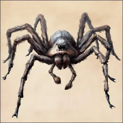 Combien d'yeux l'Acromantule a-t-elle ?
(Petit conseil d'ami : Ne vous fiez pas à l'image)