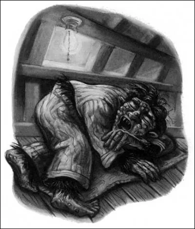 Avec quel animal fantastique la Goule transportée illégalement par Phineas Fletcher s'est-elle accouplée, pour donner naissance à des Dissimuleurs ?