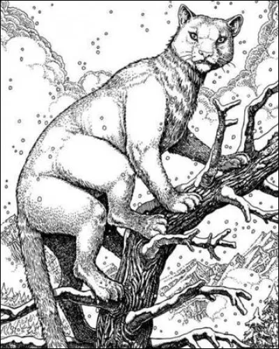 Quelle école de sorcellerie a une maison qui porte le nom de Womatou ?