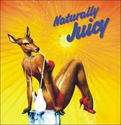 A quelle publicit appartient cette image ?