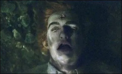 Votre vie se résume à...