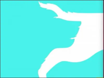 Combien y a-t-il de chiens dans l'image ?