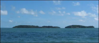 Pour le chef d'état, un véritable travail de tête, c'est le...