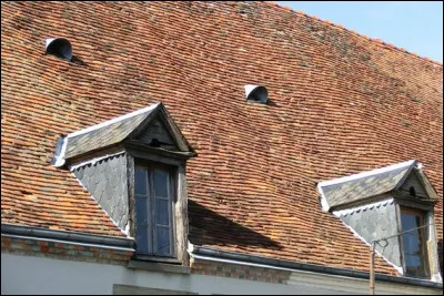 Ne hurle pas toujours avec le loup, c'est le...