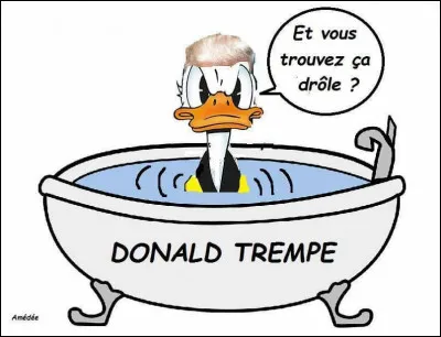 Citation de Pierre Desproges : Archimède fut le premier à démontrer que, lorsque l'on plonge un corps dans une baignoire ...