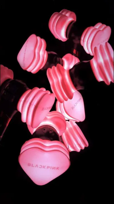 Quel est le nom de leurs fans ?