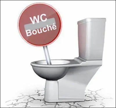 Tes toilettes sont bouchées. Que fais-tu ?