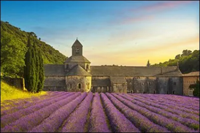 Tourisme : Quelle est cette abbaye située dans le Luberon ?