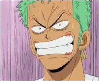 Contre quel membre de l'équipage Zoro se chamaille-t-il souvent ?