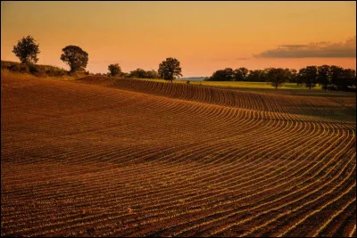 Qui est la déesse de lagriculture ?