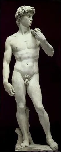 Cette sculpture clbre (David) a t faite par :