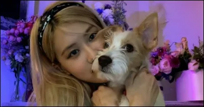 Comment s'appelle le chien de Rosé en 2021 ?