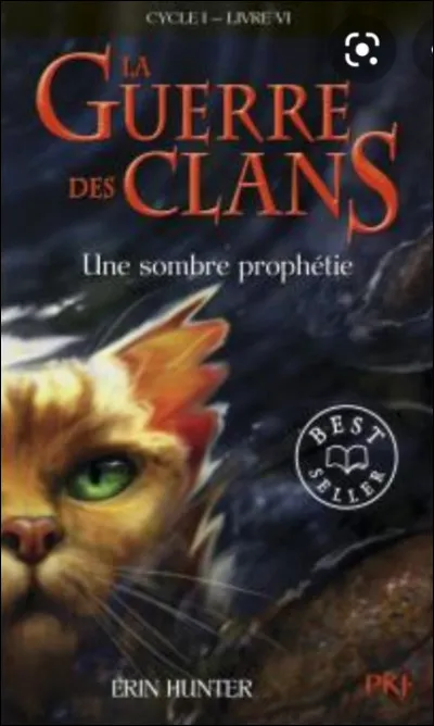 Qui sont les trois de la prophétie dans le cycle 3 et 4 ?