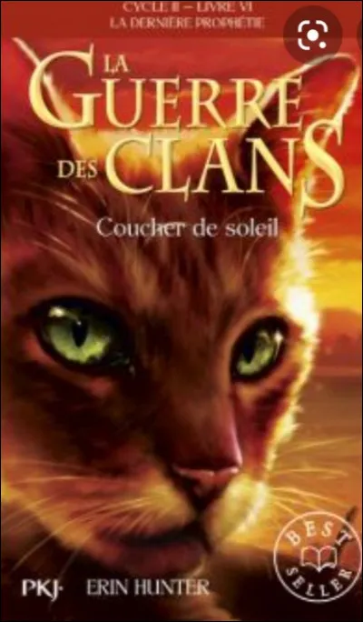 Qui sont les enfants d'Étoile de Feu ?