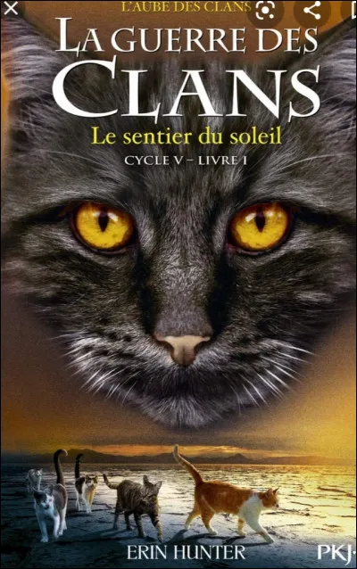 Qui a été chef après le personnage principal du cycle 1 ?