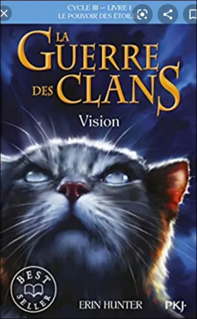 S'il ne pourra jamais perdre sa dernière vie qui est son lieutenant ?