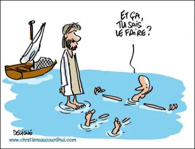 Quelle est la particularité du requin, unique dans le monde animal ?