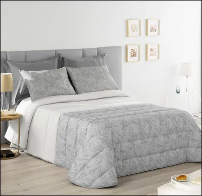 Qui a dit "Cest plus rapide que de sendormir." ?